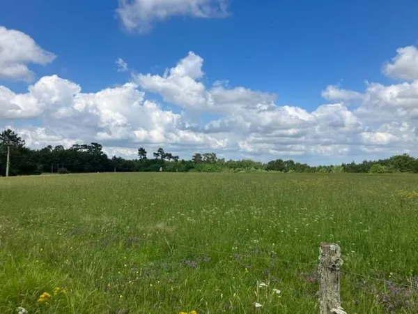 Terrain 700 m²