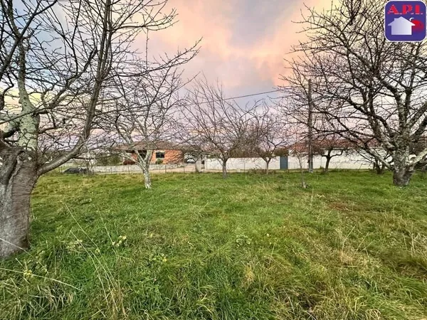 Terrain à bâtir Vente Lorp-Sentaraille  1100m² 43000€