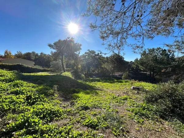 Terrain 1445 m²