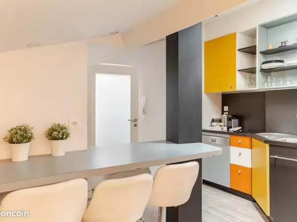 Pente de la croix Rousse - 65 m² utiles - 2 chambres - Appartement Atypique : Charme, Calme et Renta