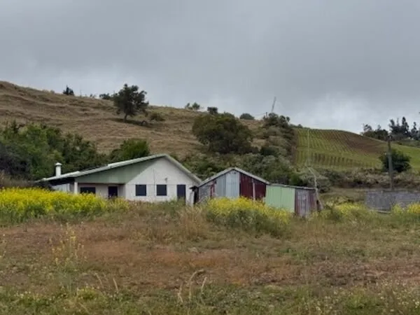 Maison ancienne - habitable immédiatement- La plaine des cafres