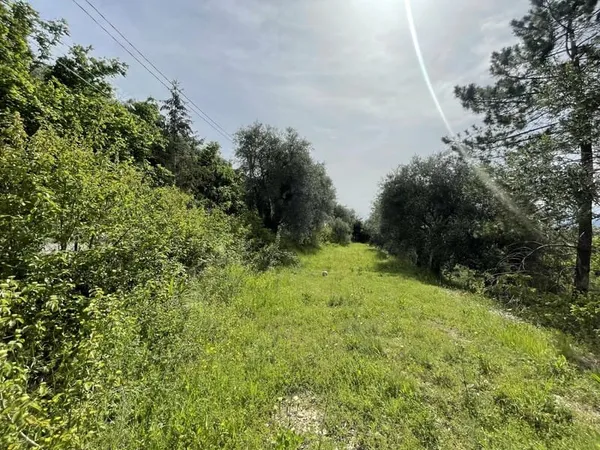 Colomars - La Sirole terrain de 1585m²