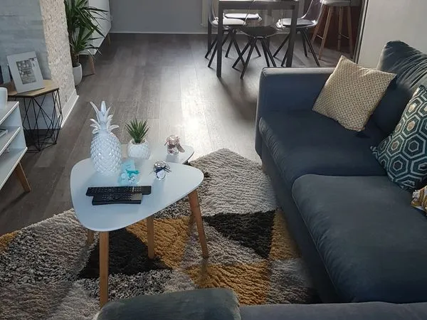 Appartement meublé 54m²