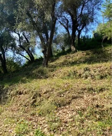 Terrain de loisir Careï Monti- Mont Gros