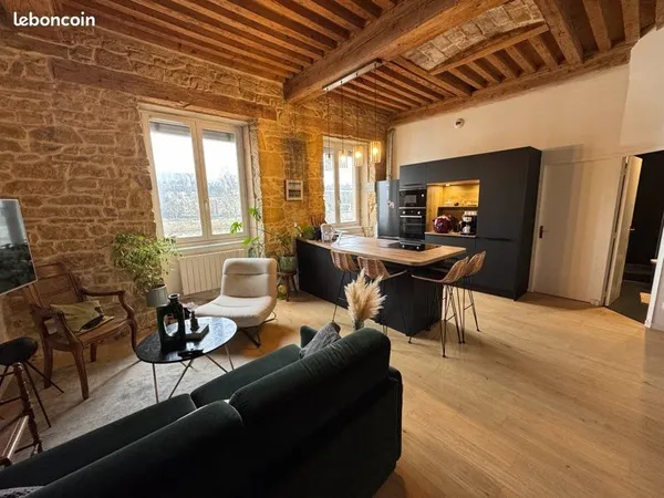 T2 meublé 43m² - Vue Saône - Clé en main - Calme - 10 min métro Vaise