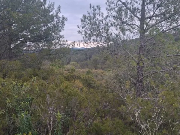 Terrain à saint chinian dans l'hérault