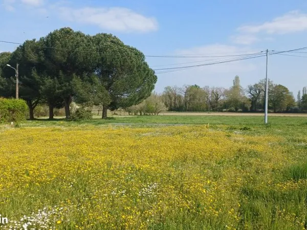 Terrain à bâtir