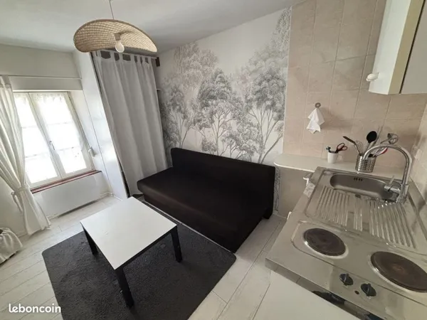 Appartement 1 pièce 24 m²