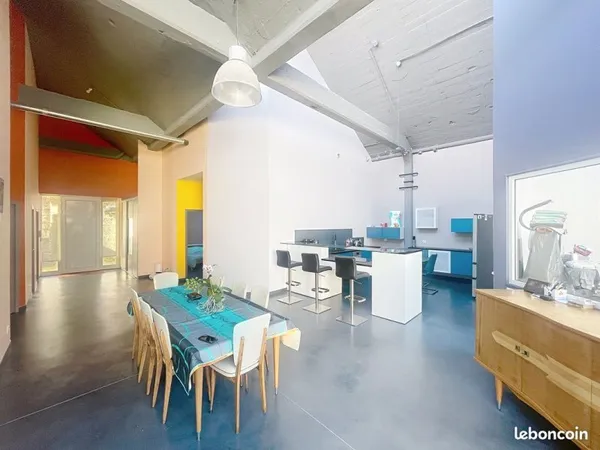 Loft/atelier/surface 4 pièces 219 m²