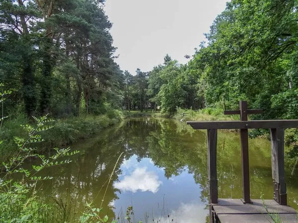 Terrain de loisir avec plan d'eau
