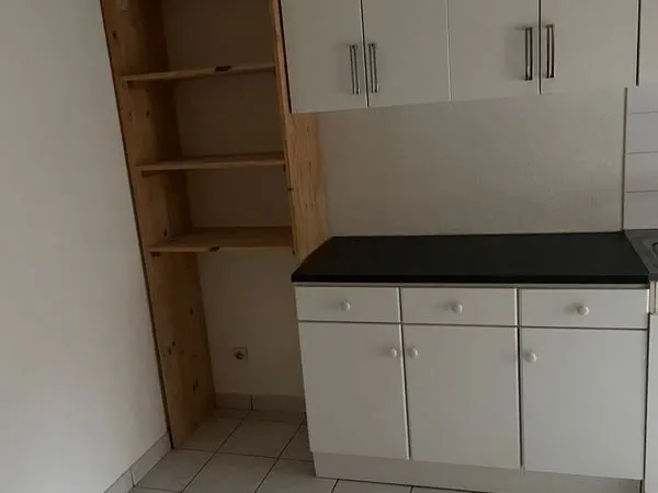 Location appartement lyon 7
