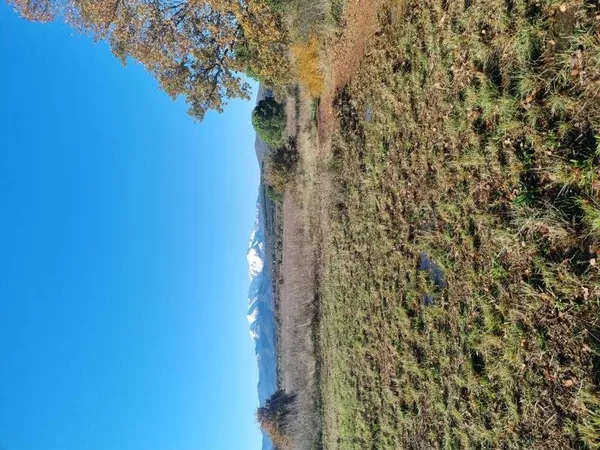 Terrain à bâtir Vente Llupia  324m² 104000€
