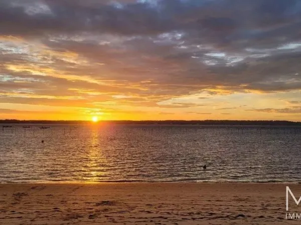 PRESQU'ILE DU CAP FERRET
