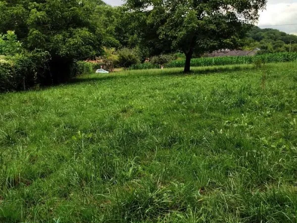 Terrain constructible - coteaux d'Arros de Nay