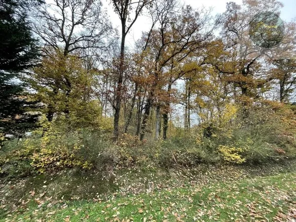 Terrain 2395 m²
