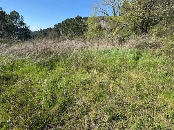 Terrain 673 m²
