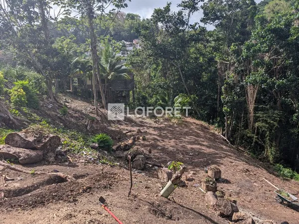 Terrain 1500 m²