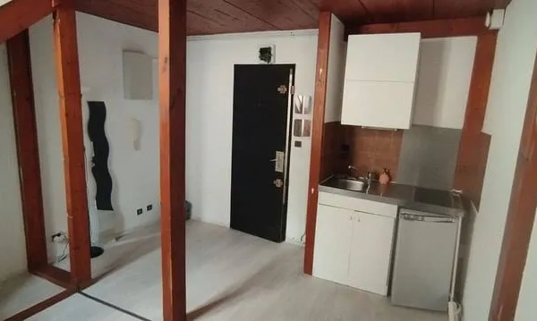 Duplex 1 pièce 24 m²