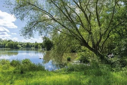 Achat : Appartement (77400)