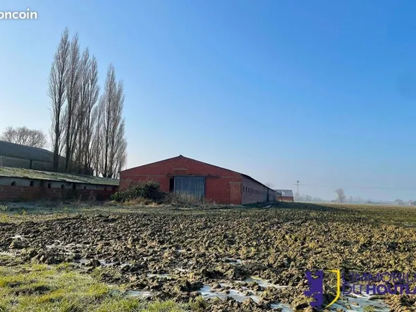 Entrepôt 330 m² Houtkerque