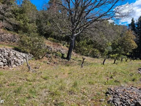 Terrain de loisir