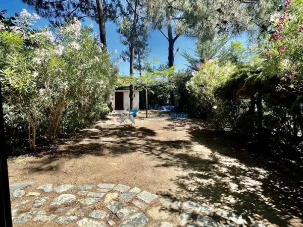 Maison 1 pièce 33 m²