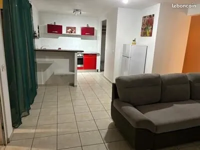 Grand T3 meublé et 60m² avec Jardin