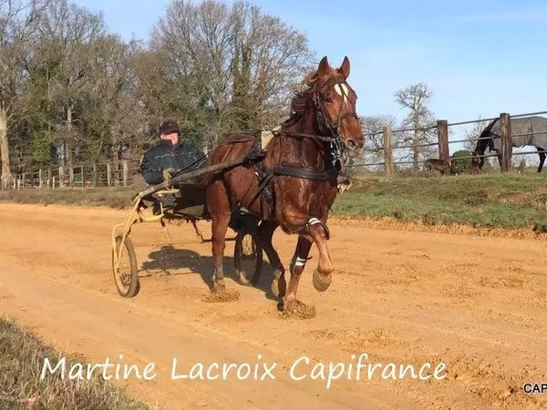 Dpt SARTHE (72), à vendre LA FERÉ-BERNARD - PROPRIÉTÉ P5 de 100 m² - Terrain de 10 Ha