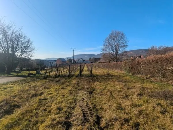 Terrain viabilisé