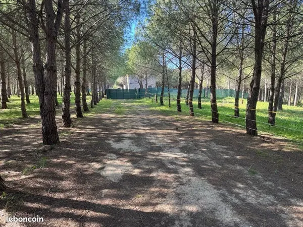 Petit domaine 11 ha arboré avec bâtisse à refaire