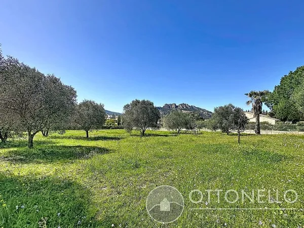 Terrain commercial constructible Roquebrune-Sur-Argens 785 m2