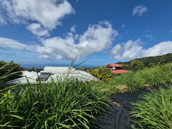 TERRAIN VUE MER A VENDRE - SAINT CLAUDE
