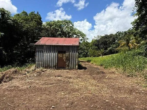 Terrain constructible 11353 m²