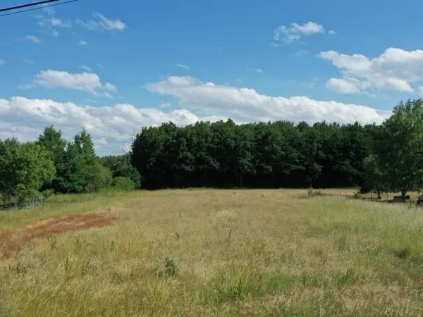 Terrain 24590 m²