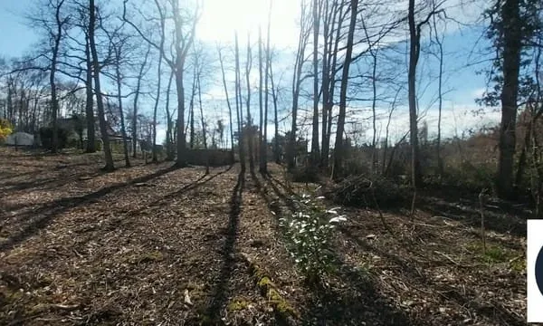 Terrain Raizeux secteur LES CHAISES 700 m2