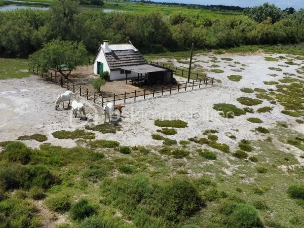 Terrain 299008 m²