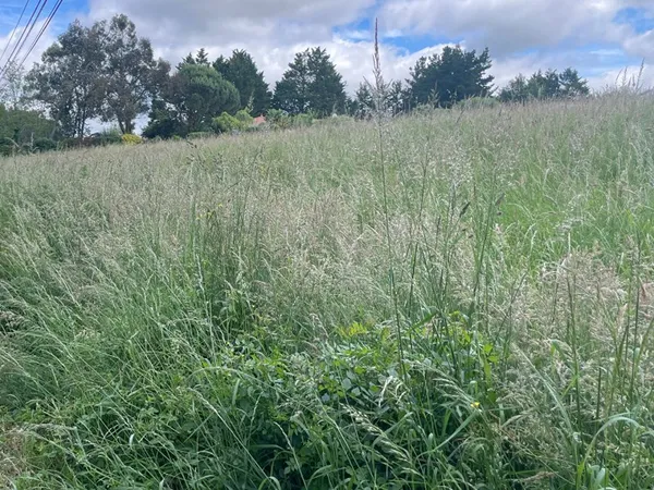 Terrain à bâtir 456 m² Moutiers-les-Mauxfaits