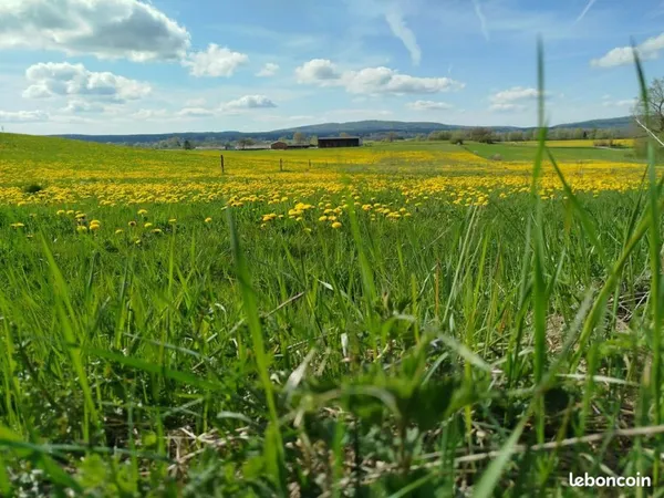 Location de 2 Hectares à le Larderet (39)