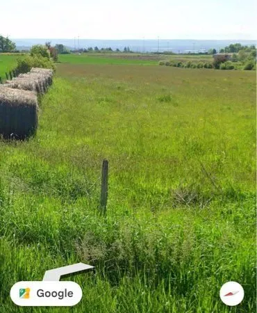 Terrain agricole à louer avec point d'eau naturel