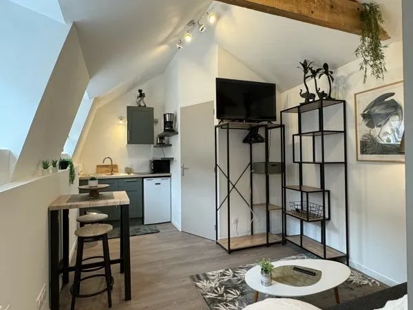 Studios 14 à 27 m2 Rouen centre Hôtel de Ville refaits neufs