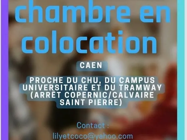 Chambre colocation