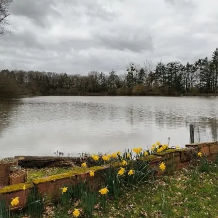 Propriété 25hectares avec étang et maison