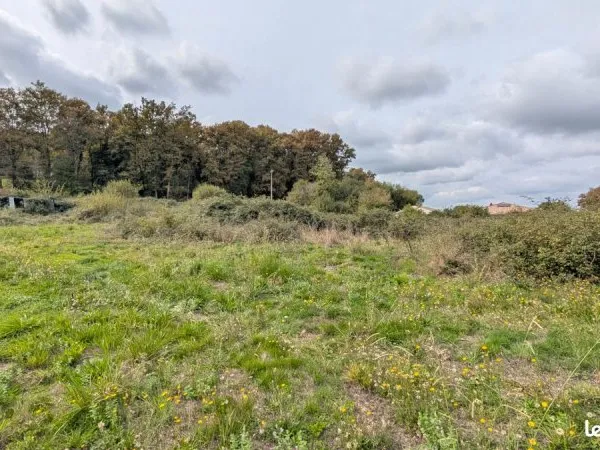 Terrain 7053 m² MONT DE MARSAN