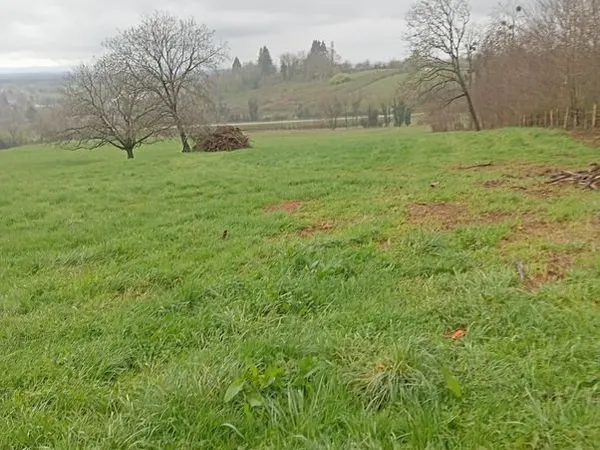 Terrain agricole