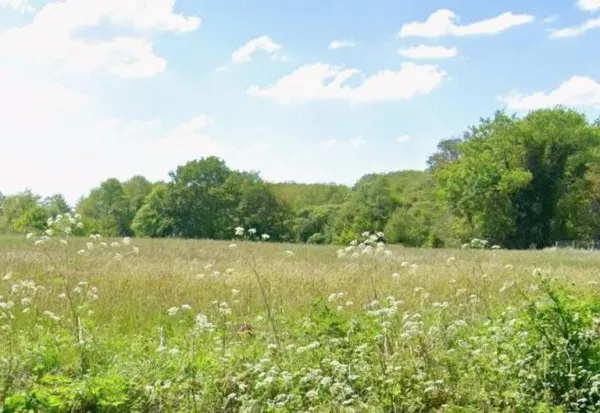 Terrain 870 m²
