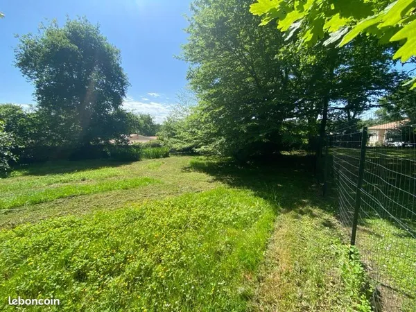 Terrain constructible arboré