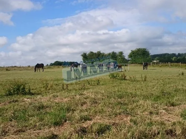 Centre équestre sur près de 6 hectares Secteur de Saint Pol