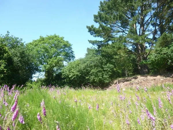 Terrain non constructible Saint Agathon 4920 m2