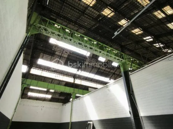 Local 350 m²
