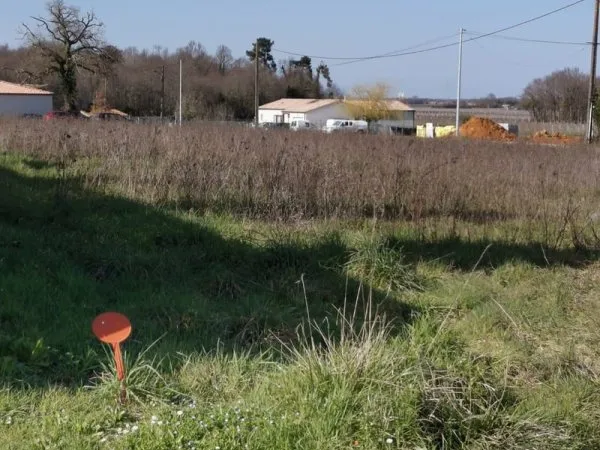 Terrain constructible 1055 m2